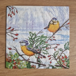 Ubrousek 33 x 33 cm