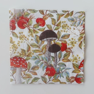 Ubrousek 25 x 25 cm