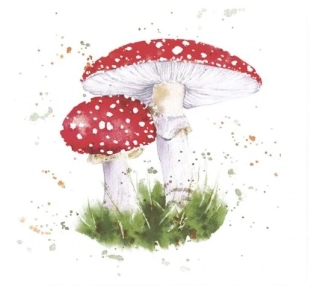 Ubrousek 33 x 33 cm