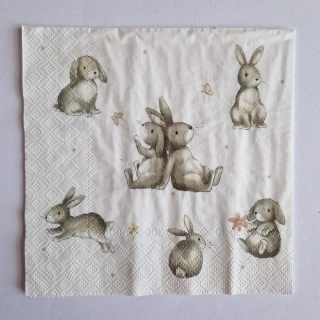 Ubrousek 33 x 33 cm